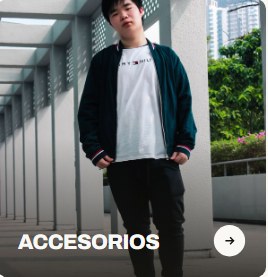 Categoría Accesorios